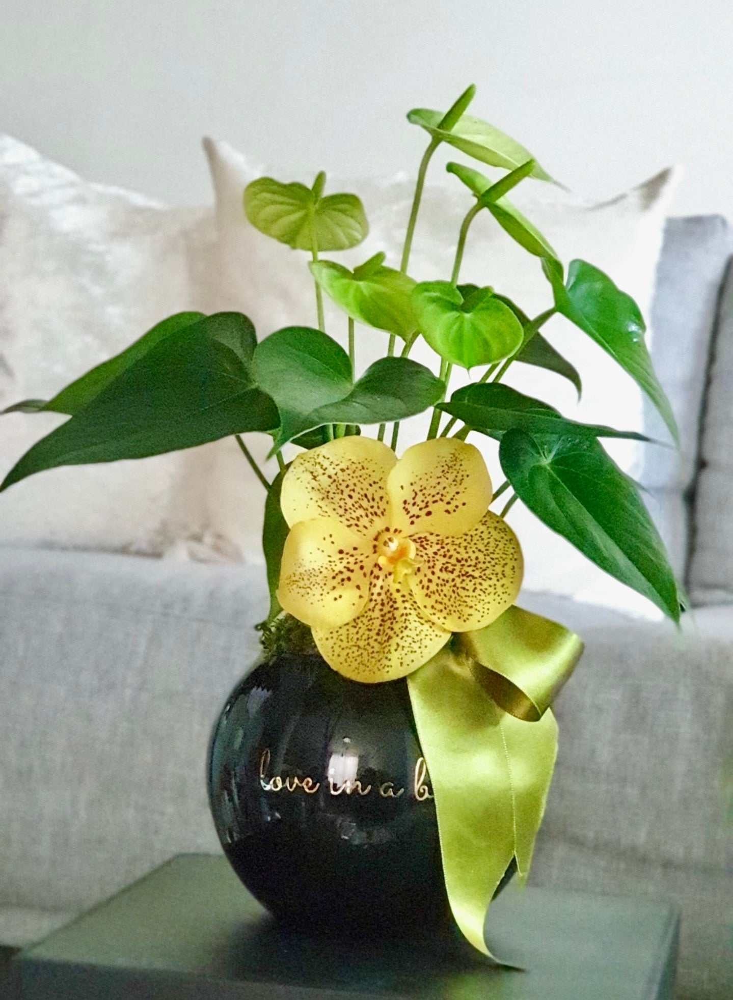 Minianthurium y orquídea