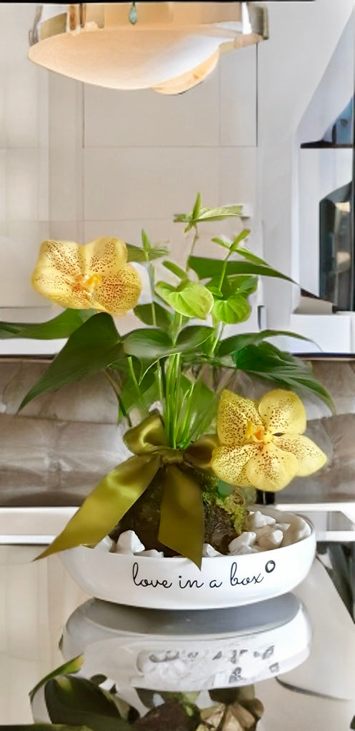 Anturio y orquídeas