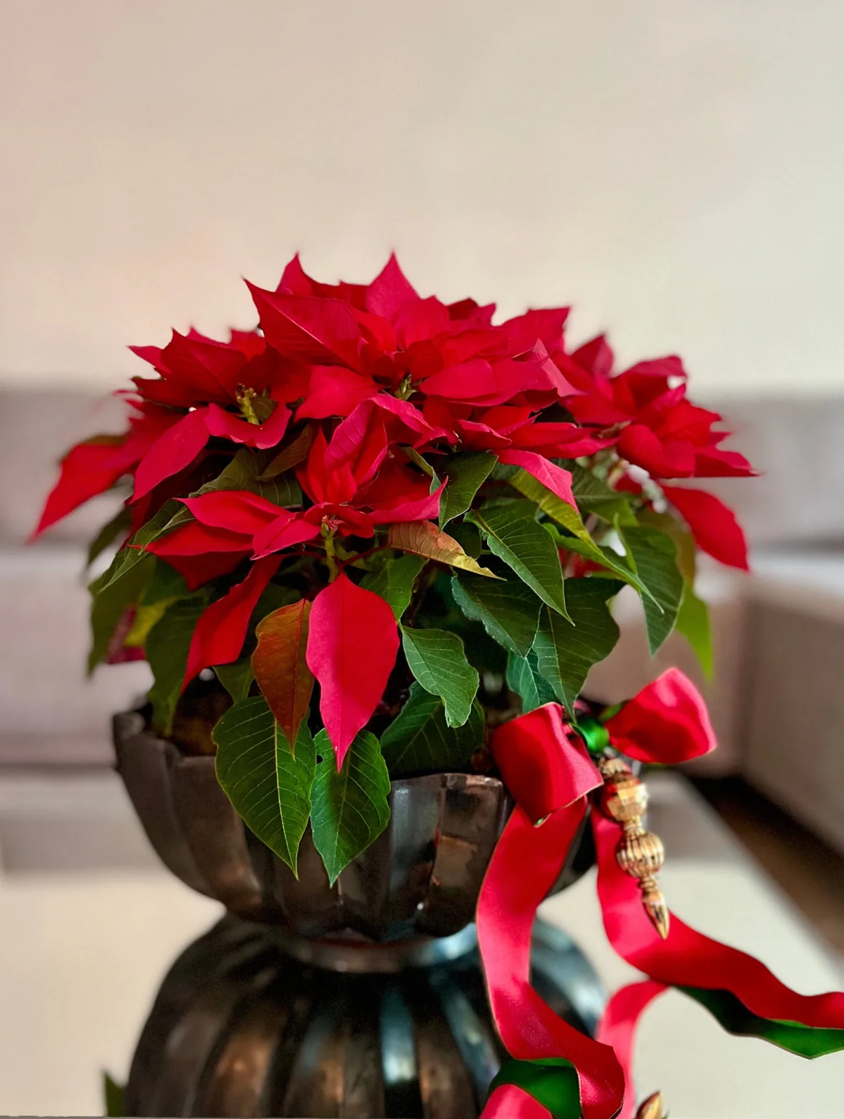 Merry !