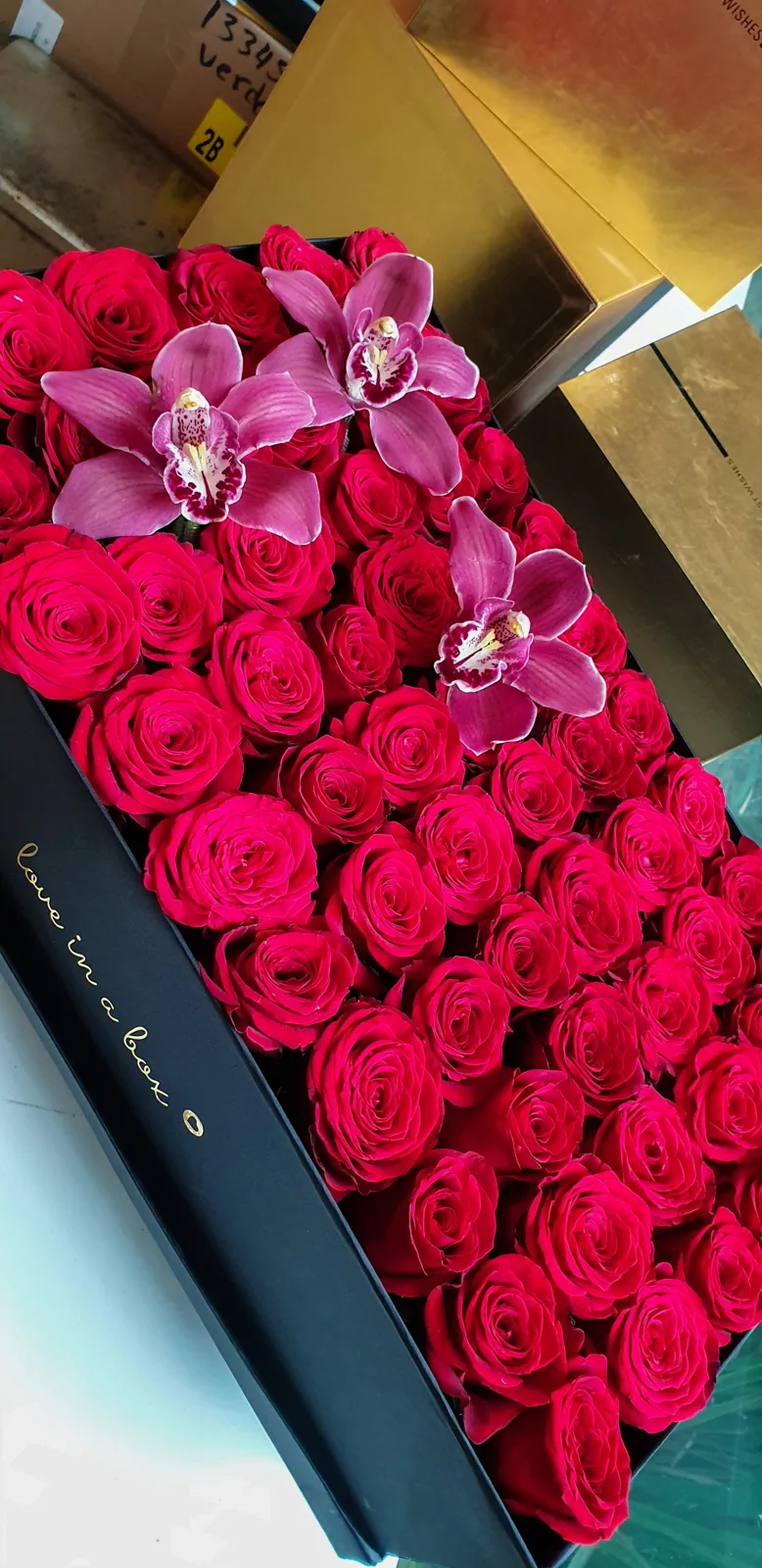 Rosas & Orquideas